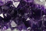 Dark Purple, Amethyst Crystal Cluster - Uruguay #123804-1
